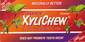 Cinnamon Xylichew Sugar Free Chewing Gum - 12 Pieces