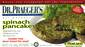 Spinach Pancakes - 12 OZ (340g)