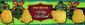 Pure Butter Holiday Shortbread - 6.2oz (175g)